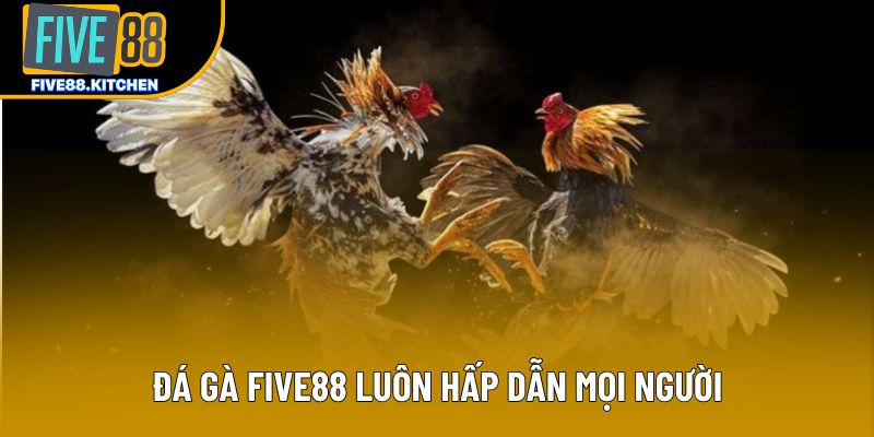 Đá gà Five88 luôn hấp dẫn mọi người