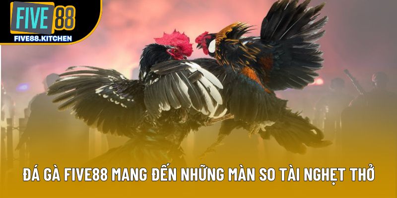 Đá gà Five88 mang đến những màn so tài nghẹt thở