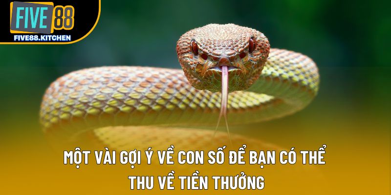 Một vài gợi ý về con số để bạn có thể thu về tiền thưởng