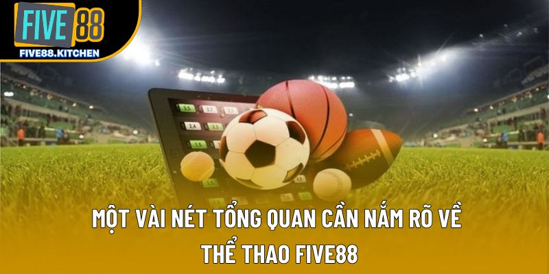 Một vài nét tổng quan cần nắm rõ về thể thao Five88